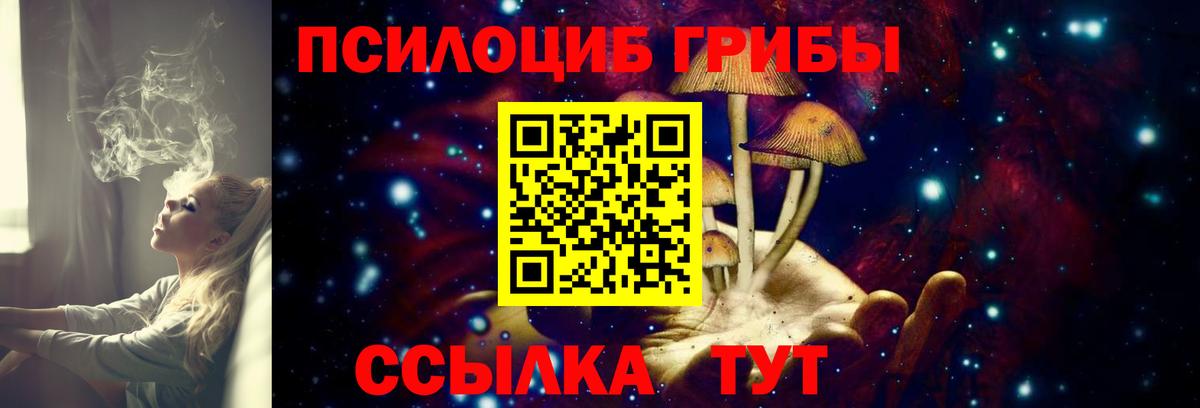 Псилоцибиновые грибы Psilocybine cubensis  Вход с VPN  Камышлов 