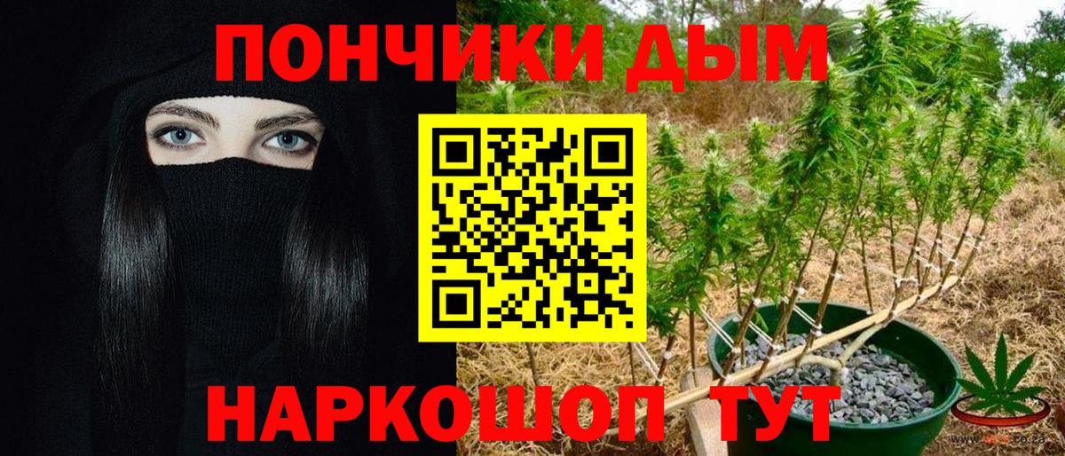 Канабис ГИДРОПОН  Каннабис ГИДРОПОН  Камышлов  Вход с VPN  Канабис тримм 